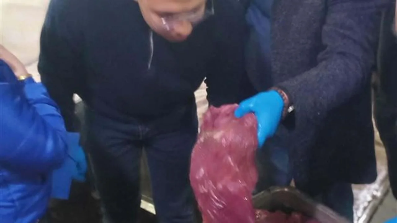ضبط 5.5 طن.. حملة مكبرة تصادر لحوم ودواجن غير صالحة في مدينة العبور